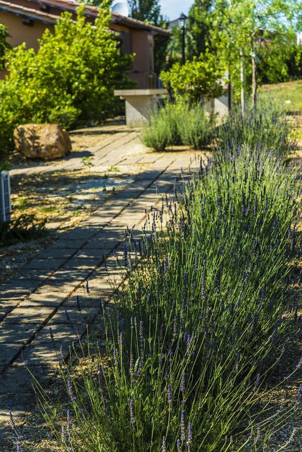 Agriturismo Poggio Di Maremma Pescia Romana Extérieur photo